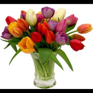 Meet your Posher, Rita